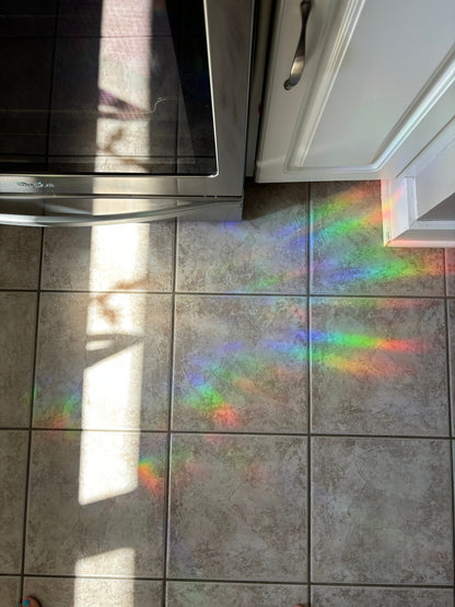 The Bats | Prism Suncatcher Pack